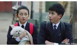 胡先煦电视剧,青春成长路上的璀璨星光