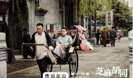 电视剧芝麻胡同,胡同里的岁月流转与人生百态